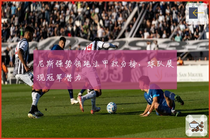 尼斯强势领跑法甲积分榜，球队展现冠军潜力
